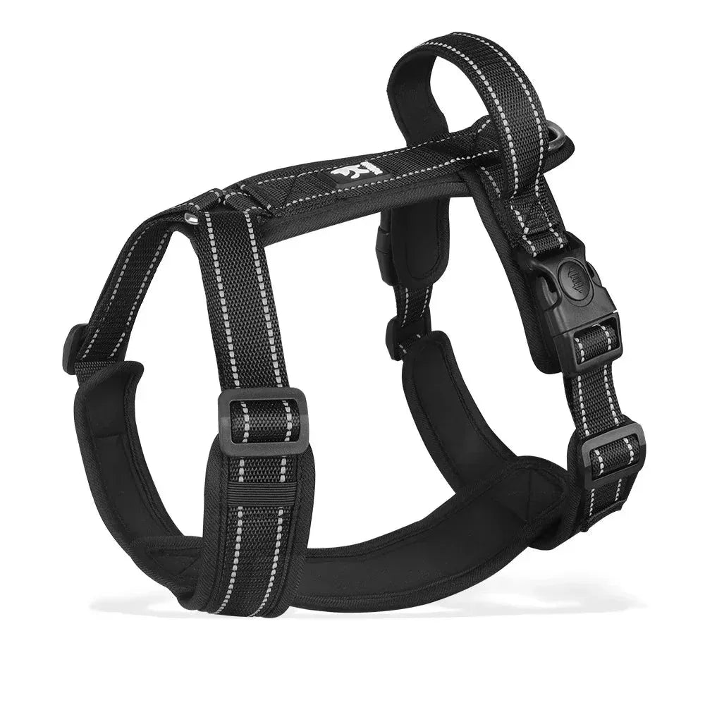 Harnesses and Wear Necklaces - Happy Tails