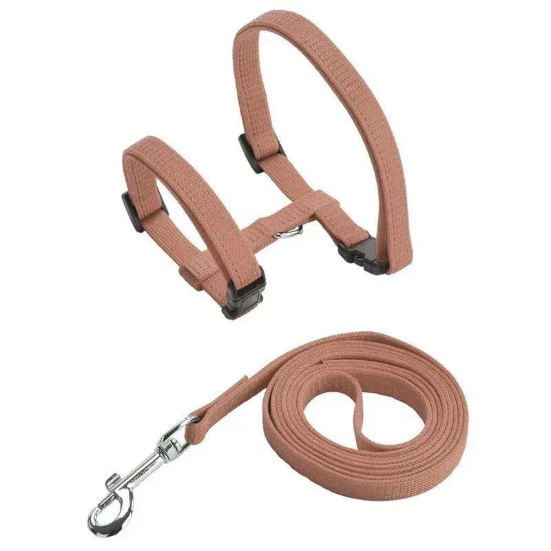Kitten Adventures Harness & Leash Set - Happy Tails - paws & love