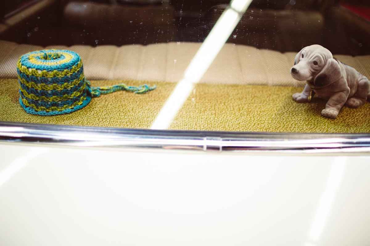 Unleash Adventure with a Pet-Friendly Trunk Mat for Travel: Take Your Dogs, Cats, and Aquarium Fish Anywhere - Happy Tails - paws & love