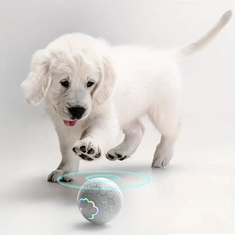 SmartPaws Interactive Dog Toy Ball - Happy Tails - paws & love