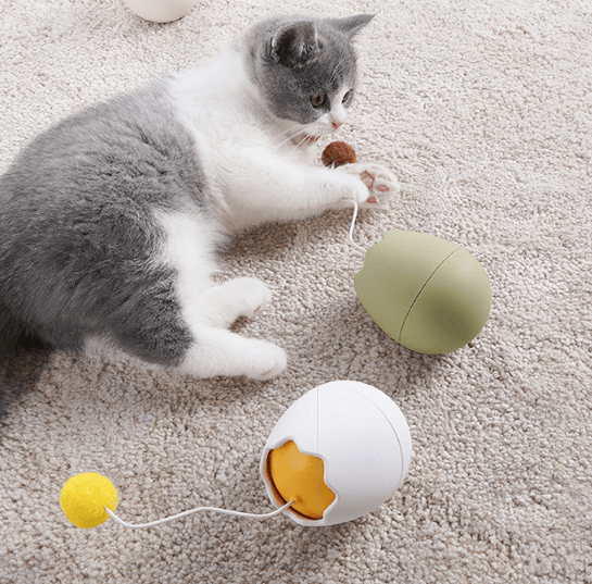 Playful Paws Interactive Cat Toy