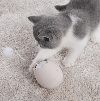 Playful Paws Interactive Cat Toy