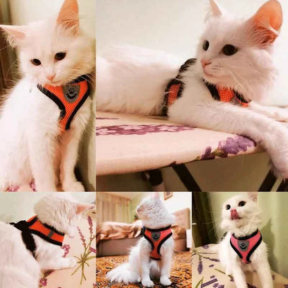 Cat Harness Leash Set for Small Dogs Adjustable Puppy Cat Harness Vest
