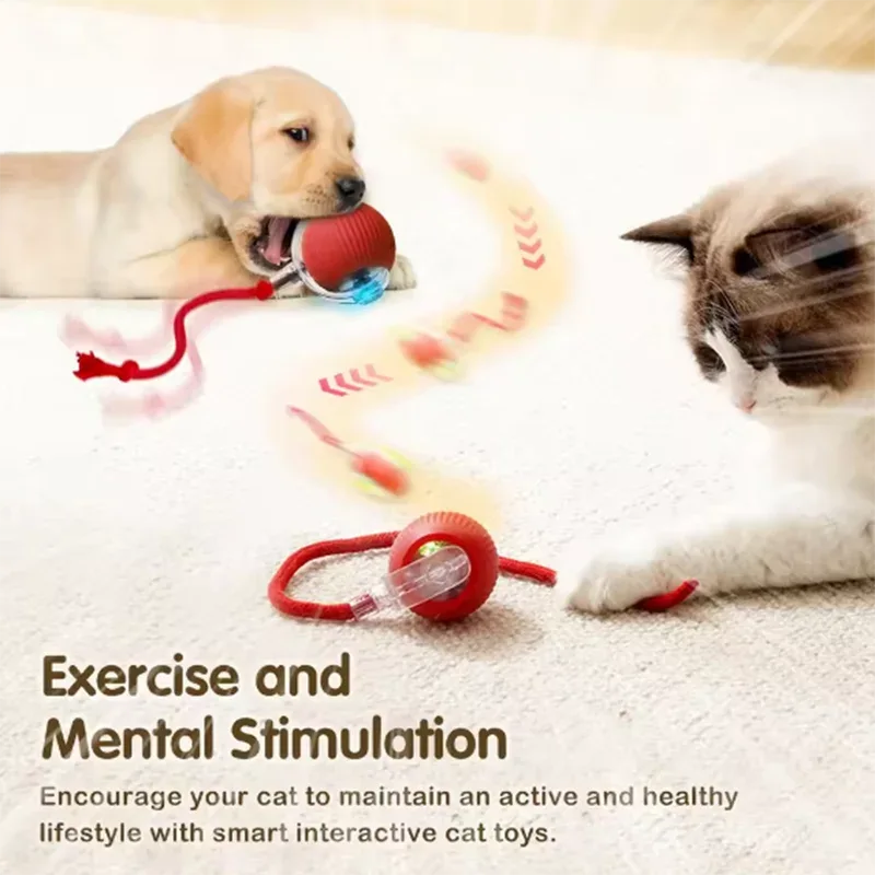 Smart Interactive Cat Toy - Happy Tails - paws & love