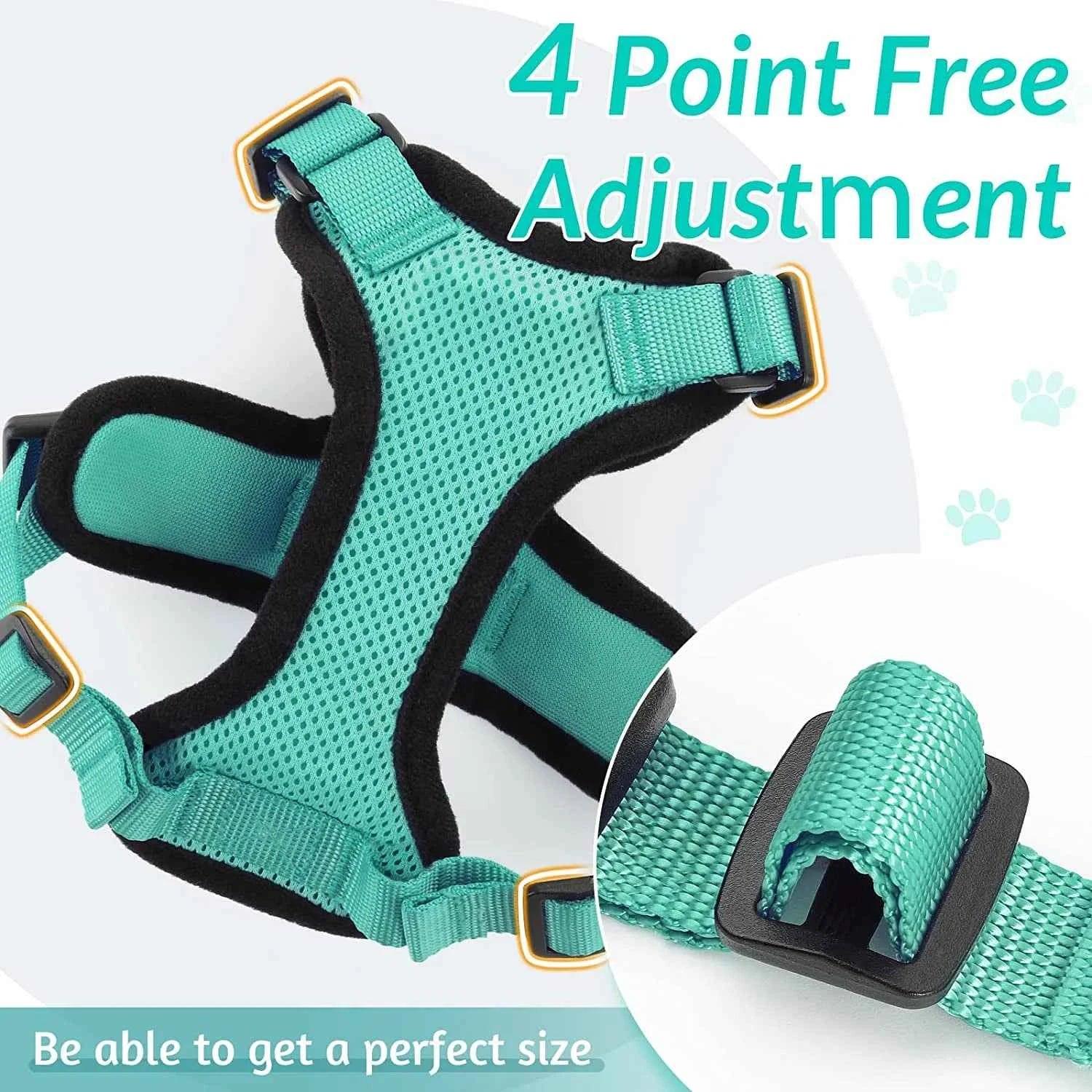 Cattitude Cat Harness & Leash - Happy Tails - paws & love