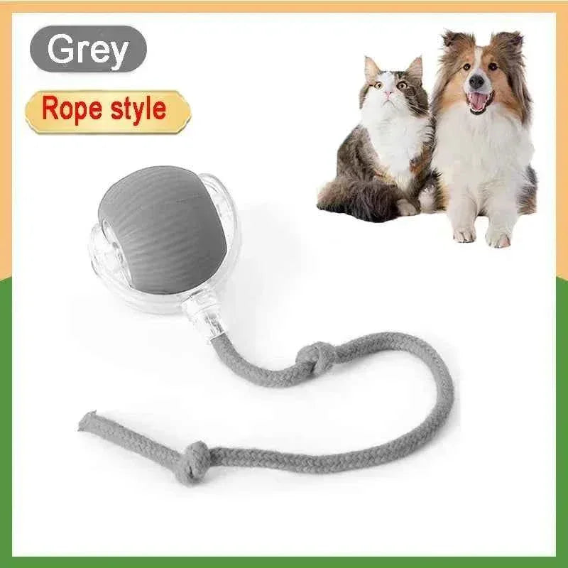 PawPal Automatic Rolling Ball - Happy Tails - paws & love