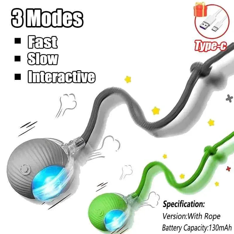 Interactive Cat Toy - Happy Tails - paws & love