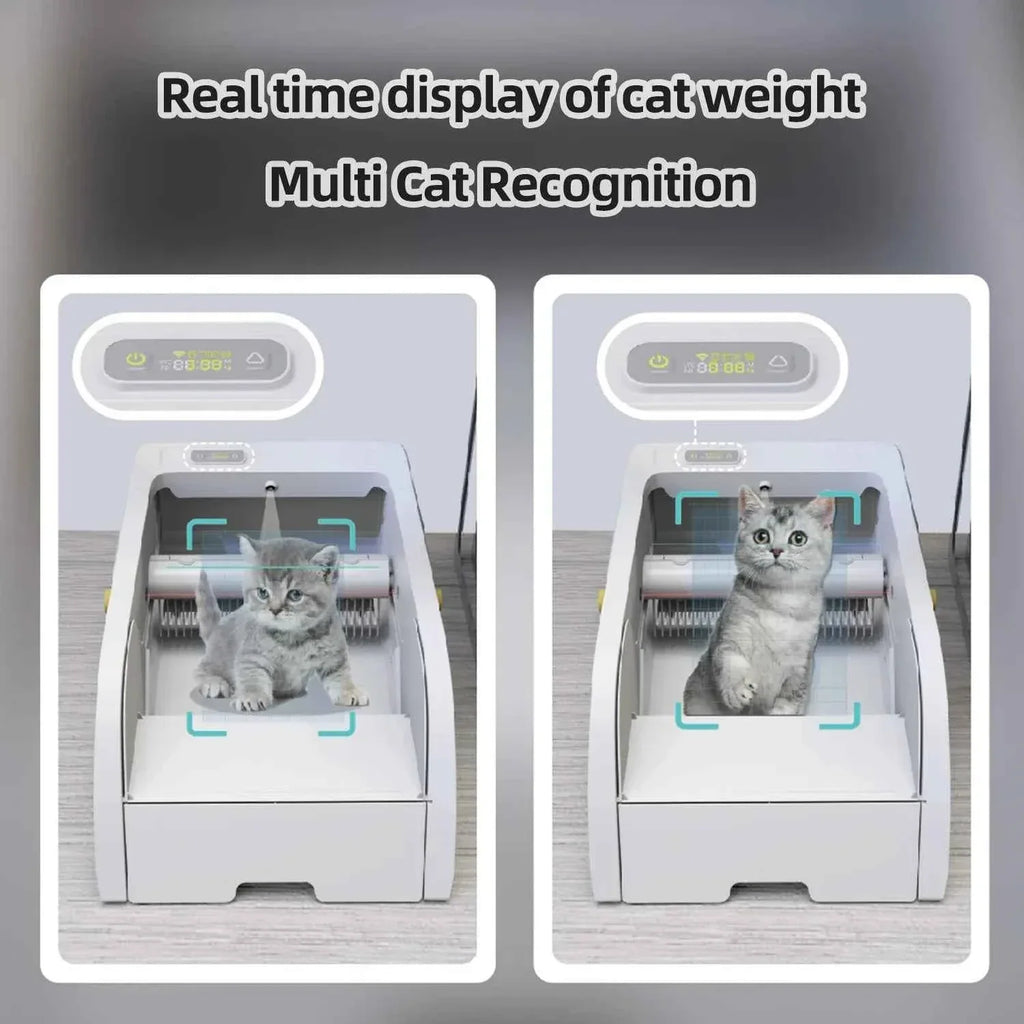 Smart Cat Litter Box with Automatic Self - Happy Tails - paws & love