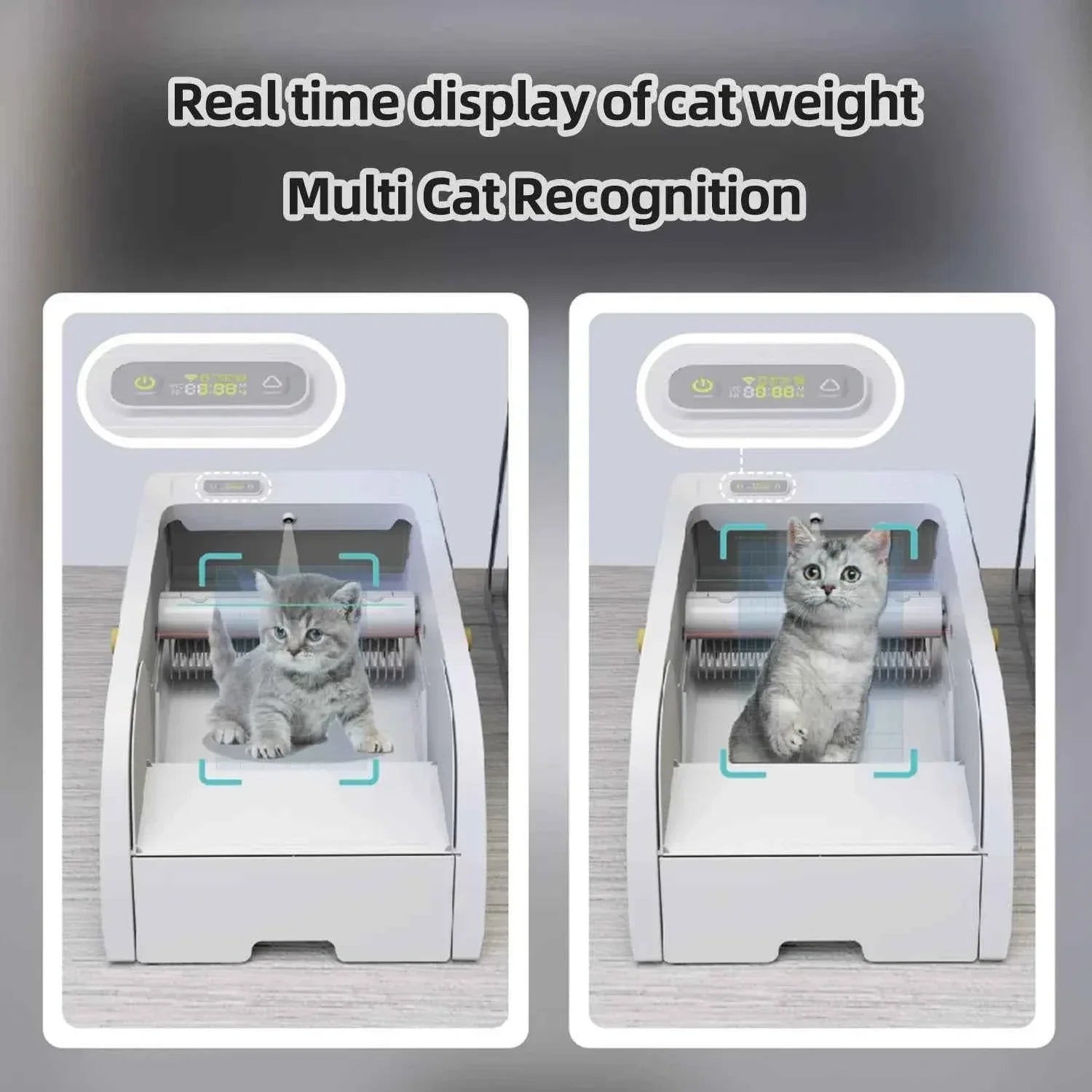Smart Cat Litter Box with Automatic Self - Happy Tails - paws & love