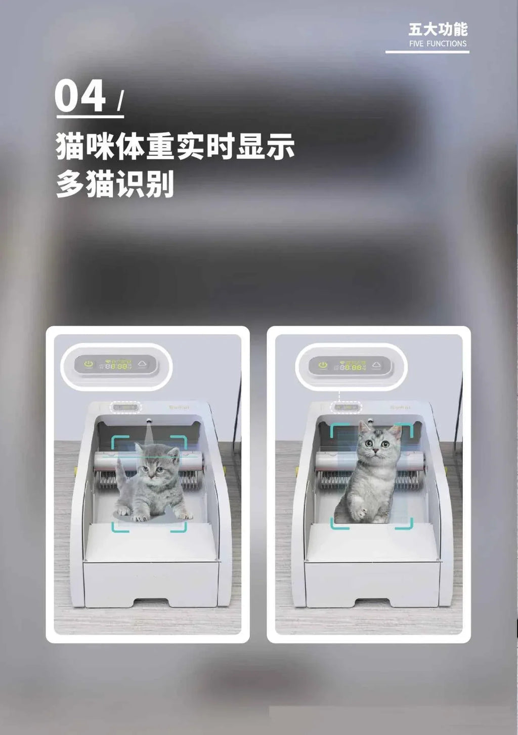 Smart Cat Litter Box with Automatic Self - Happy Tails - paws & love