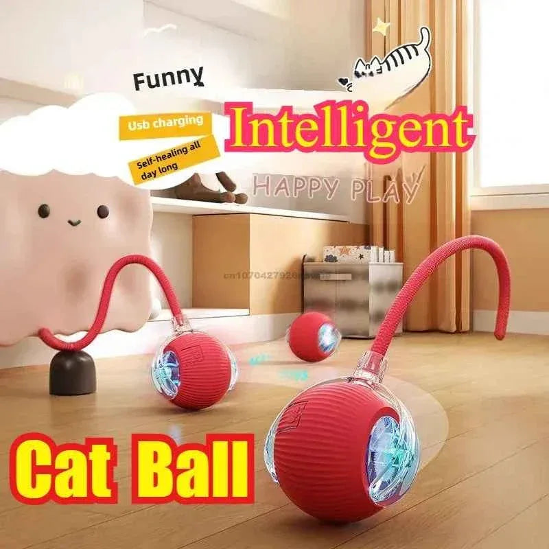 Interactive Cat Toy - Happy Tails - paws & love