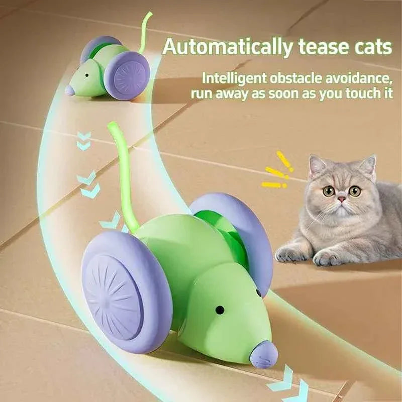 Electric Mouse Car Cat Toy - Happy Tails - paws & love