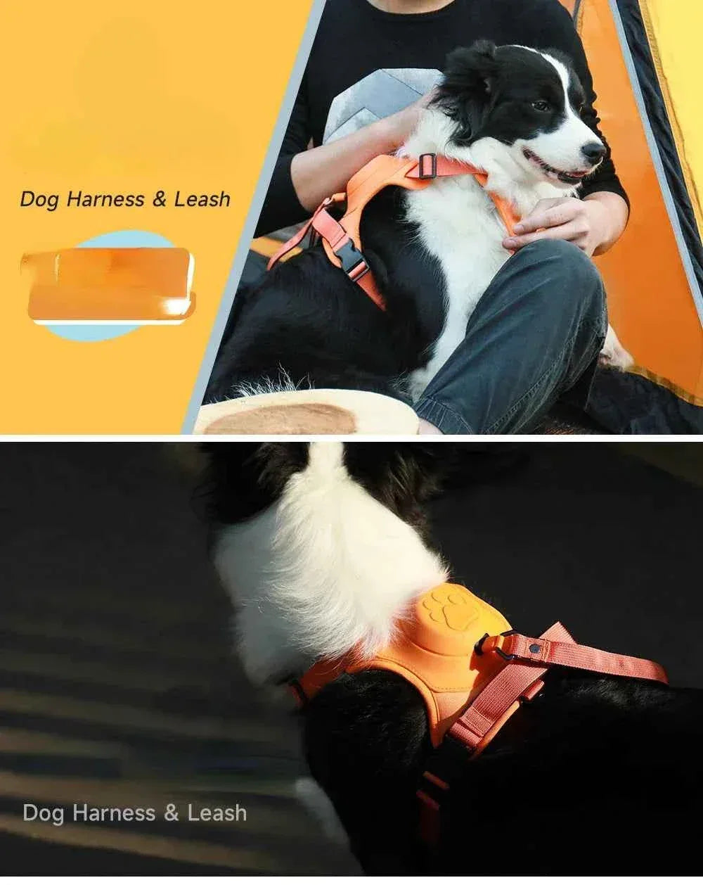 Retractable Dog Harness and Leash - Happy Tails - paws & love