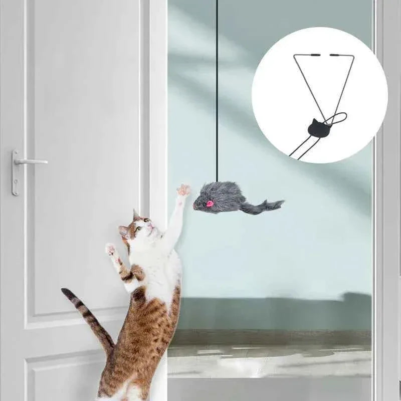 Door Hanging Cat Toy - Happy Tails - paws & love