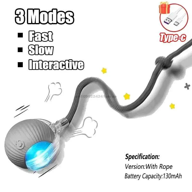 Interactive Cat Toy - Happy Tails - paws & love