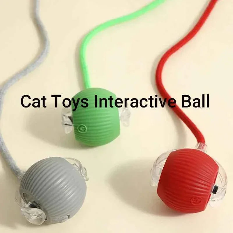 Cat Toy - Smart Rolling Ball for Active Kittens - Happy Tails - paws & love