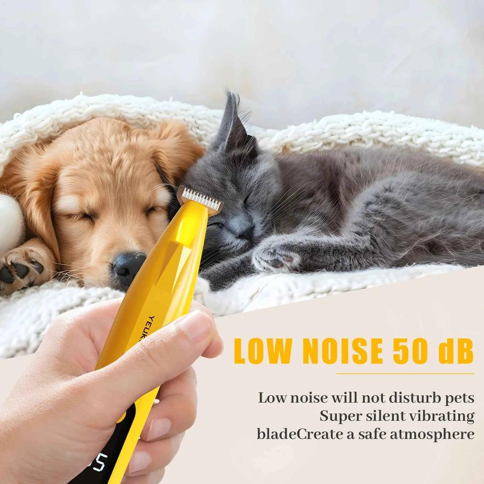 Grooming of Cats and Dogs - Happy Tails - paws & love