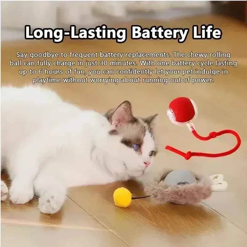 PawPal Automatic Rolling Ball - Happy Tails - paws & love