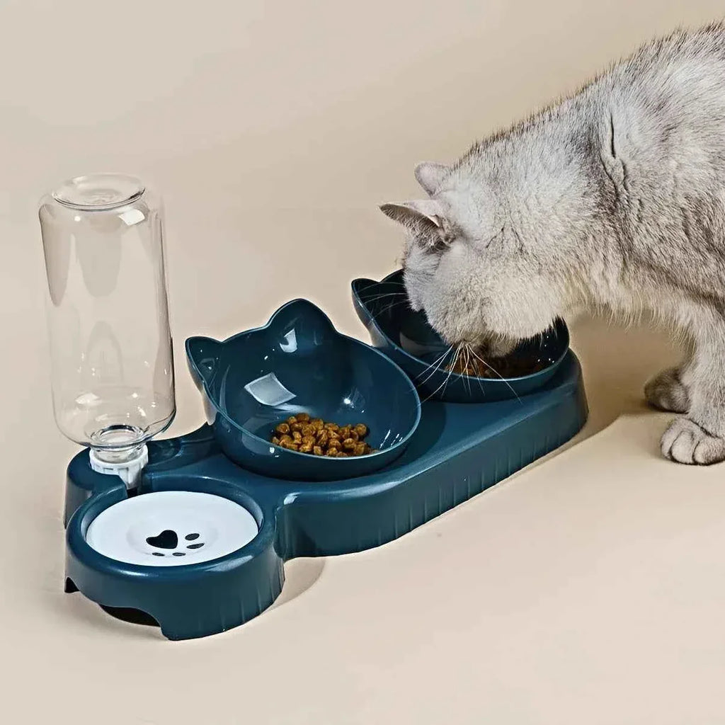 3-in-1 Tilted Cat Bowl - Happy Tails - paws & love