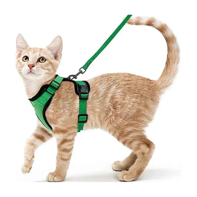 Cattitude Cat Harness & Leash - Happy Tails - paws & love