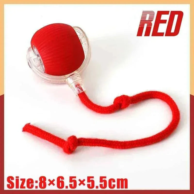 SmartPaw Interactive Dog Toy Ball - Happy Tails - paws & love