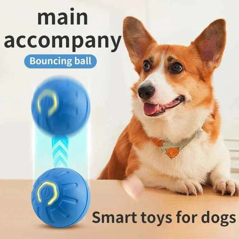 Smart Paws Interactive Dog & Cat Toy Ball - Happy Tails - paws & love