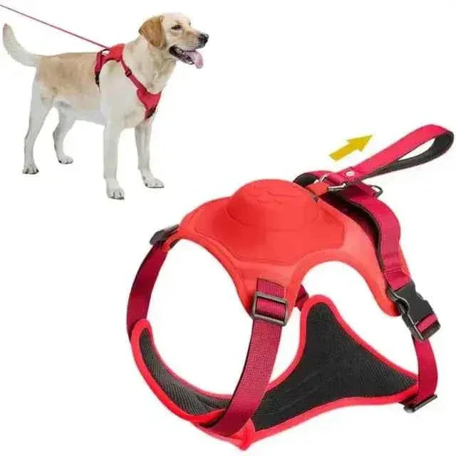 Retractable Dog Harness and Leash - Happy Tails - paws & love