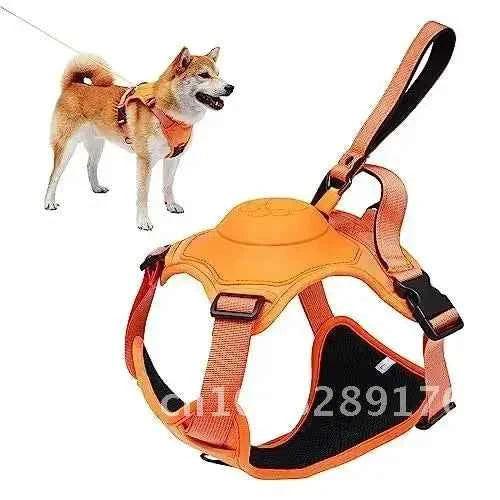 Retractable Dog Harness and Leash Set - Happy Tails - paws & love