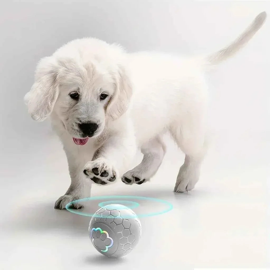Smart Dog Toy Ball - Happy Tails - paws & love