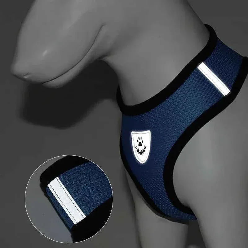 Pawsitive Vibes Cat Harness for Small Dogs - Happy Tails - paws & love