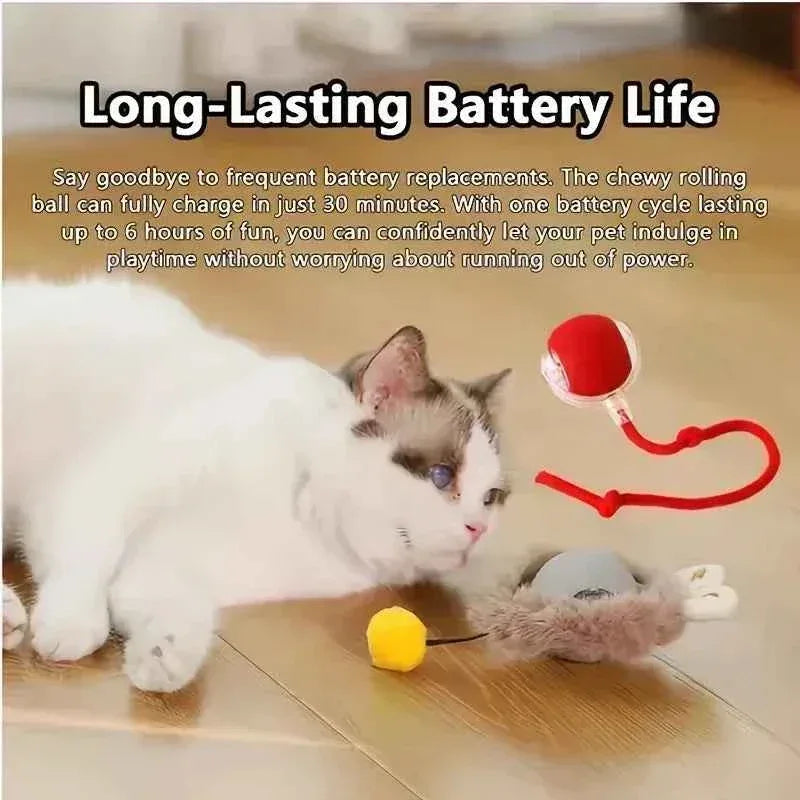PurrfectPlay Rechargeable Cat Toy - Happy Tails - paws & love