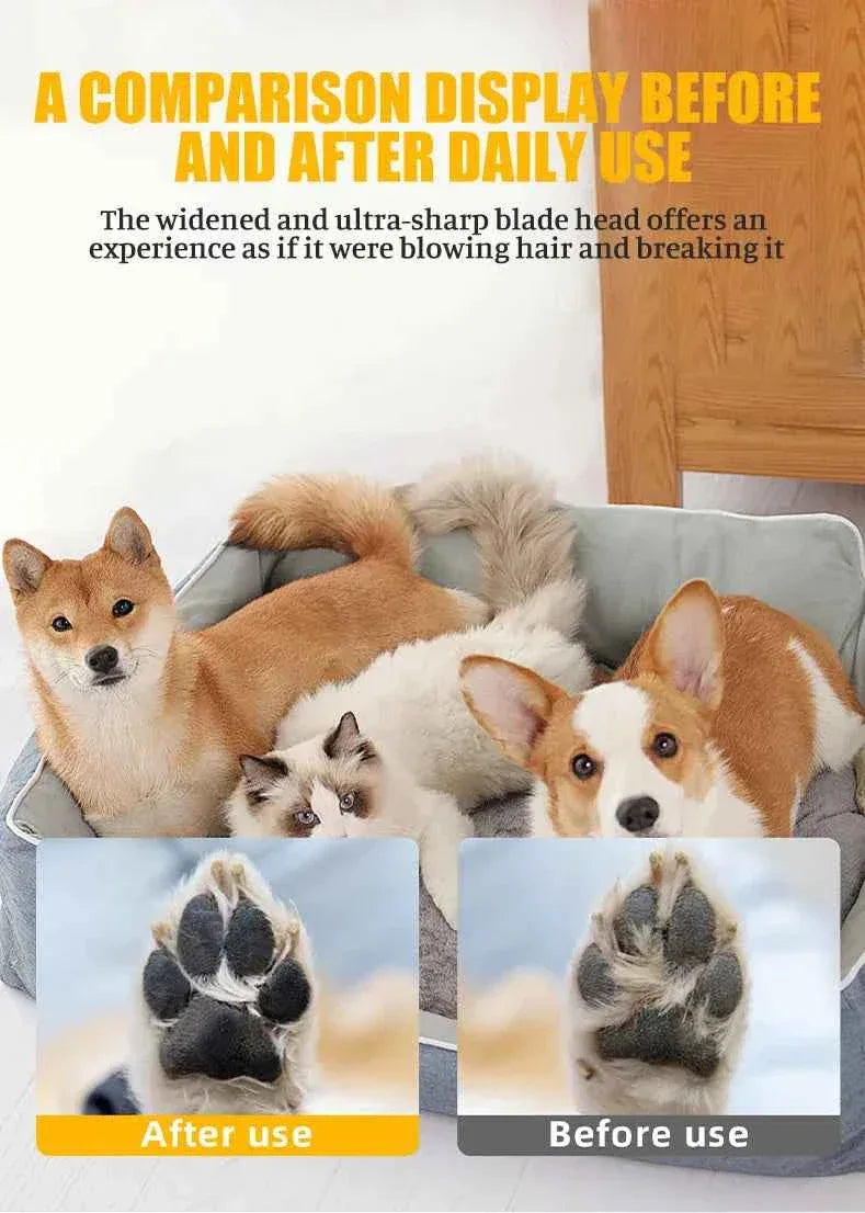 Grooming of Cats and Dogs - Happy Tails - paws & love