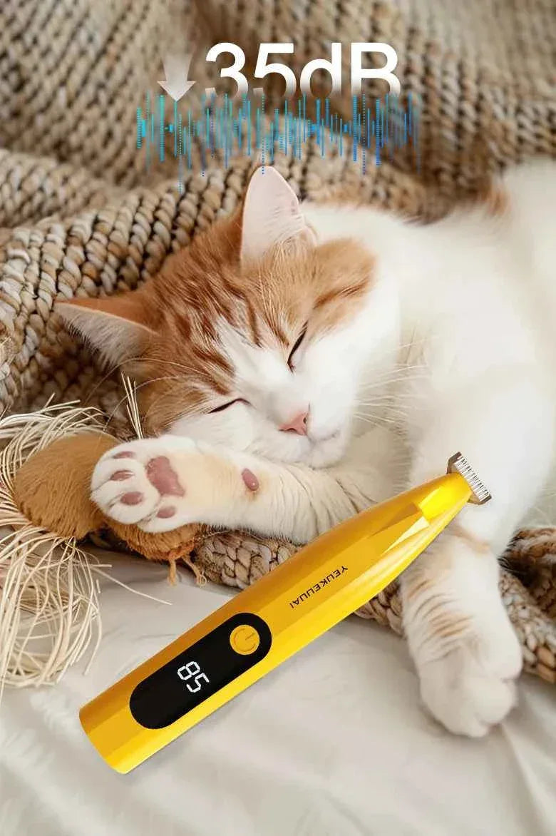 Grooming of Cats and Dogs - Happy Tails - paws & love