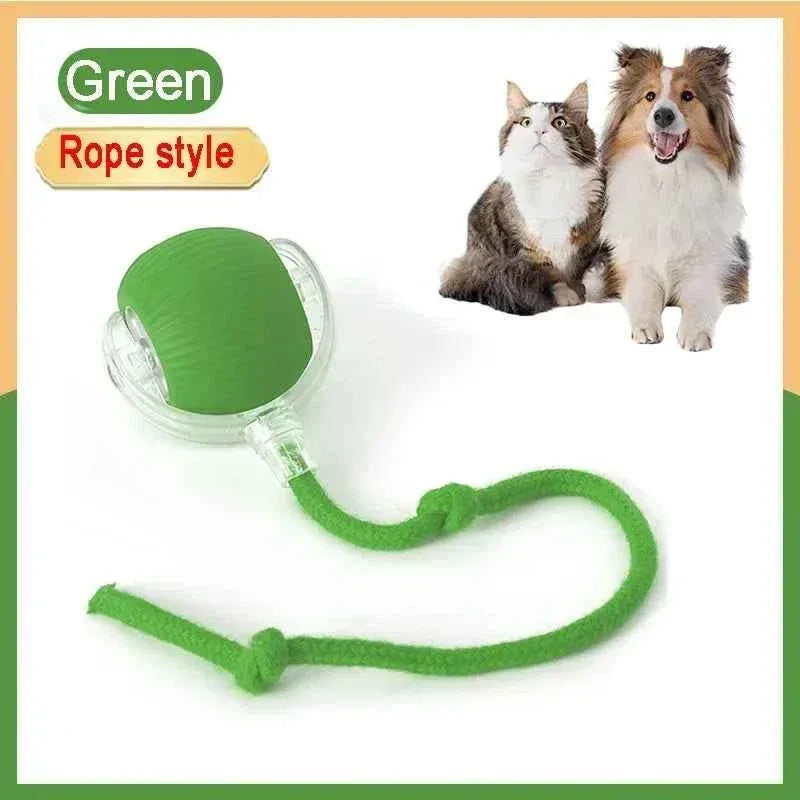 PawPal Automatic Rolling Ball - Happy Tails - paws & love