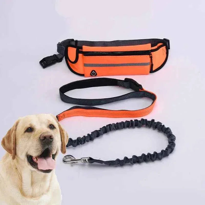 Hands Free Dog Leash for Running - Happy Tails - paws & love