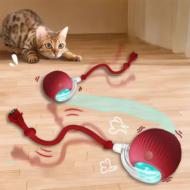 Automatic Cat Toys - Happy Tails - paws & love