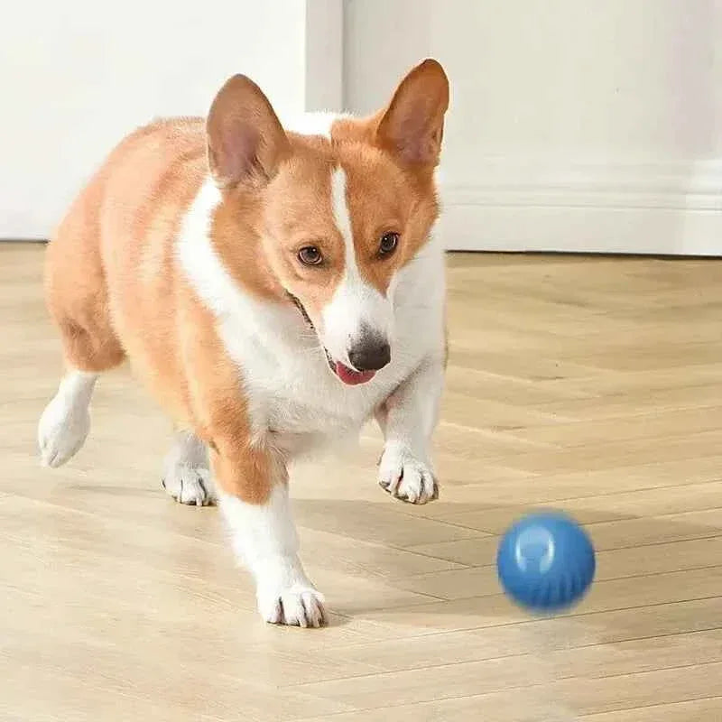 Smart Paws Interactive Dog & Cat Toy Ball - Happy Tails - paws & love