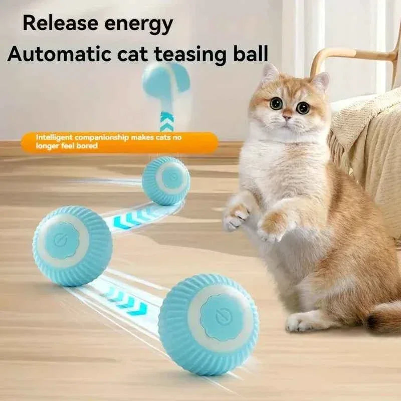 Interactive Cat Toy - Happy Tails - paws & love