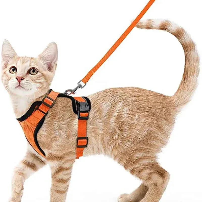 Cattitude Cat Harness & Leash - Happy Tails - paws & love