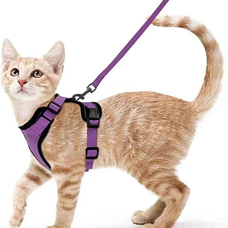 Cattitude Cat Harness & Leash - Happy Tails - paws & love