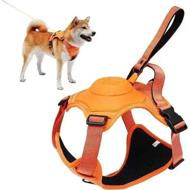Retractable Dog Harness and Leash - Happy Tails - paws & love