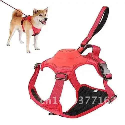 Retractable Dog Harness Set - Happy Tails - paws & love