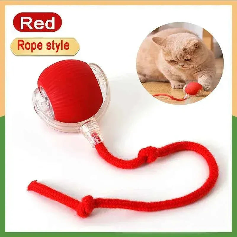 PawPal Automatic Rolling Ball - Happy Tails - paws & love
