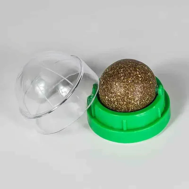 Catnip Wall Toy - Happy Tails - paws & love