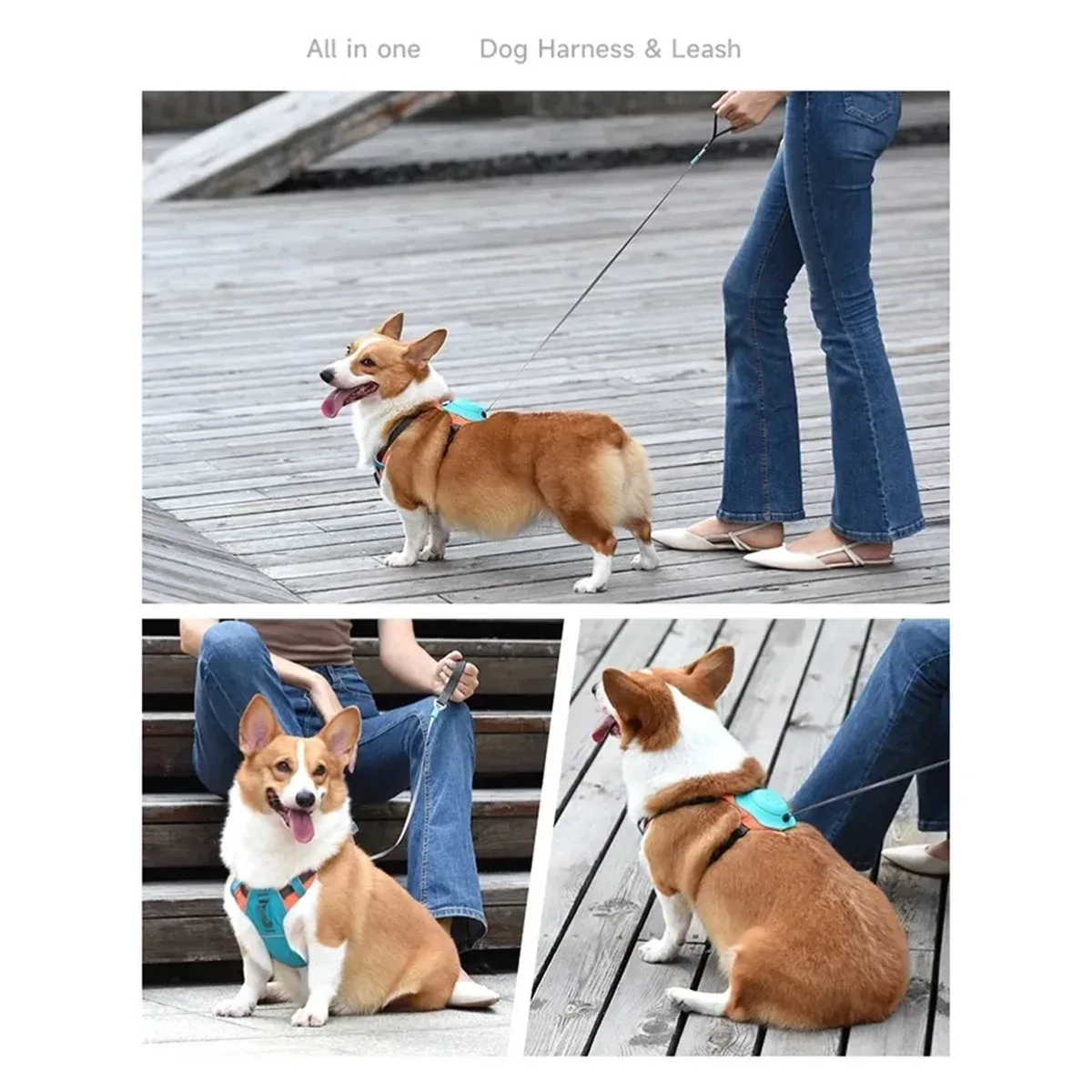 2 in 1 No-Pull Dog Harness - Happy Tails - paws & love