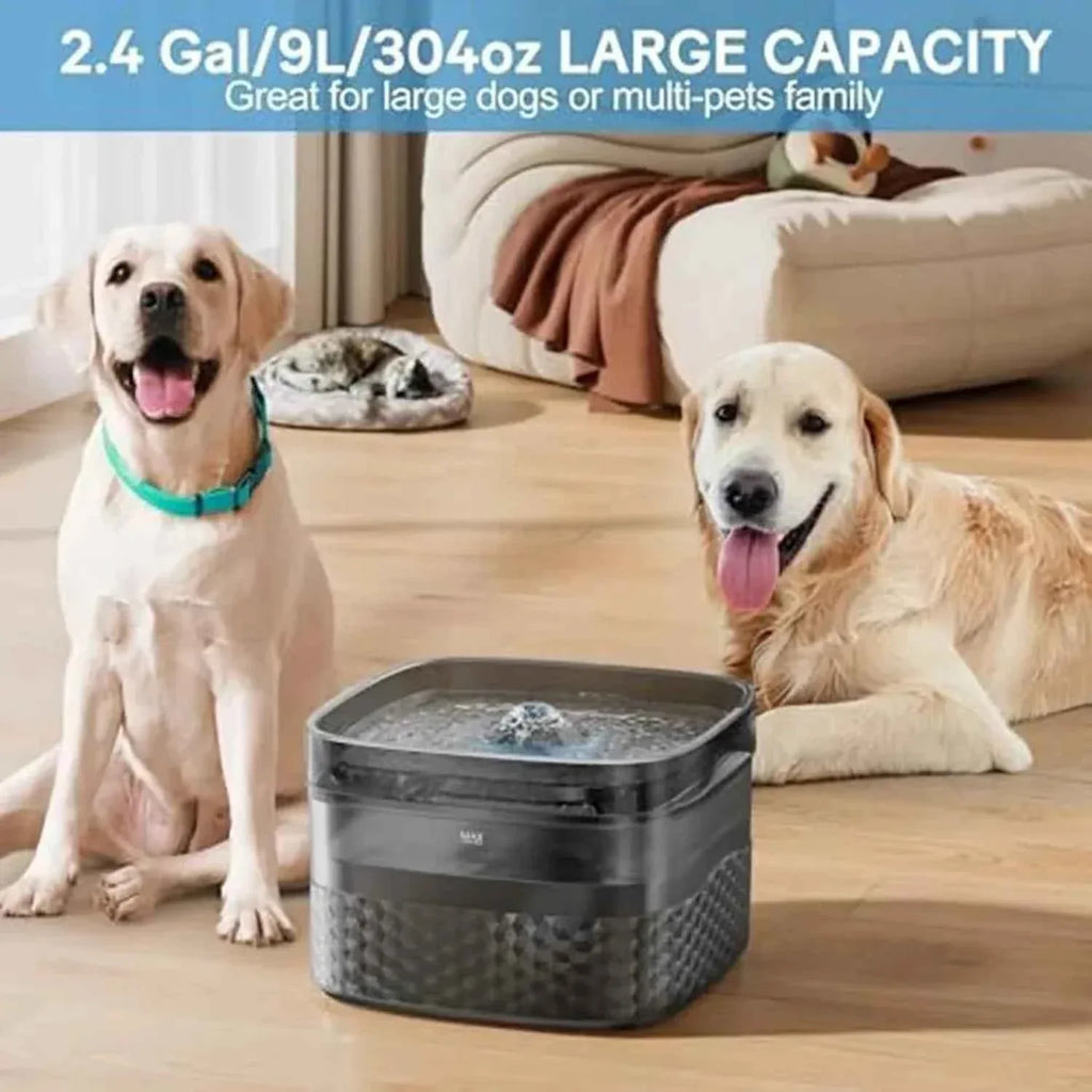 Pet Water Fountain - 2.4 Gallon Capacity - Happy Tails - paws & love