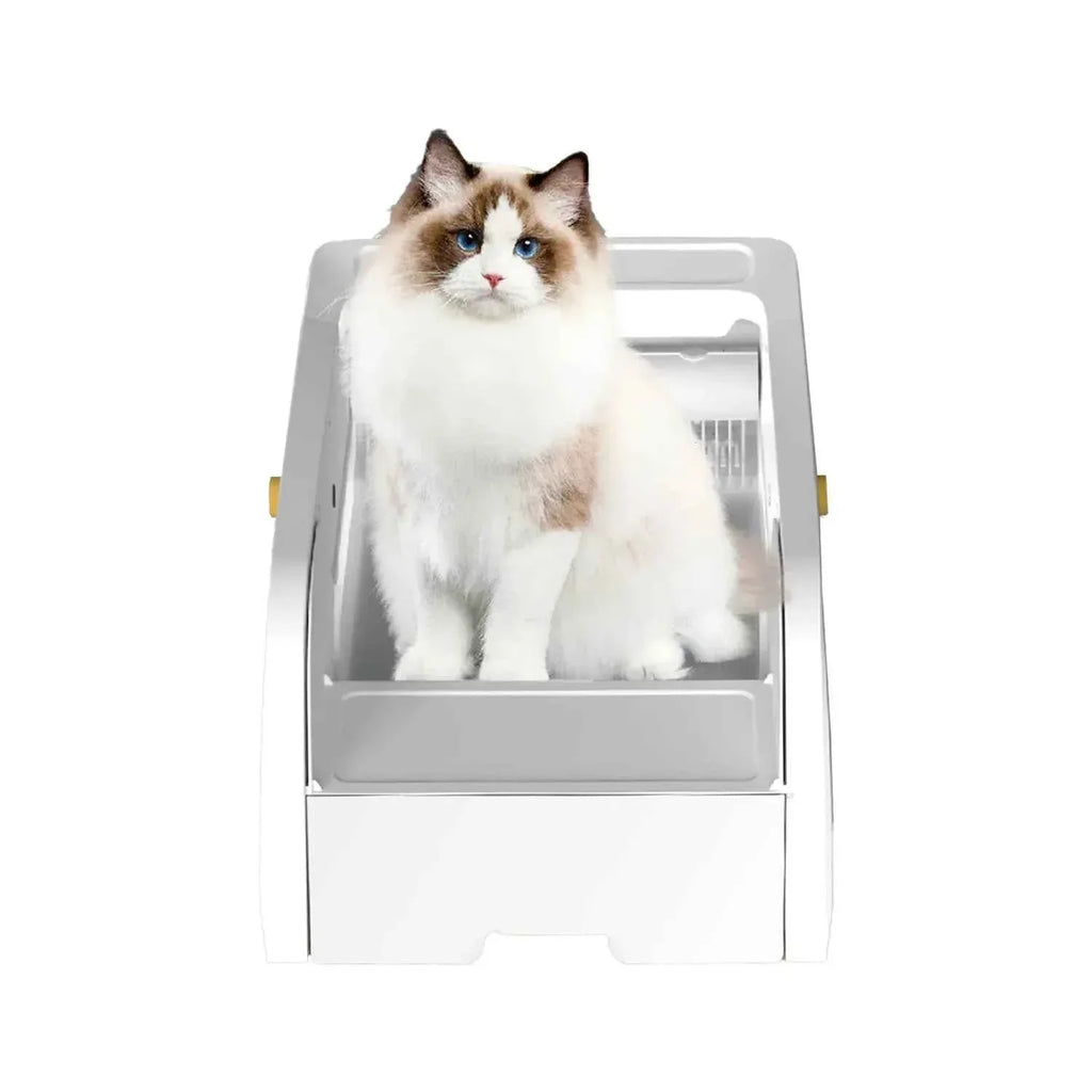 Smart Cat Litter Box with Automatic Self - Happy Tails - paws & love