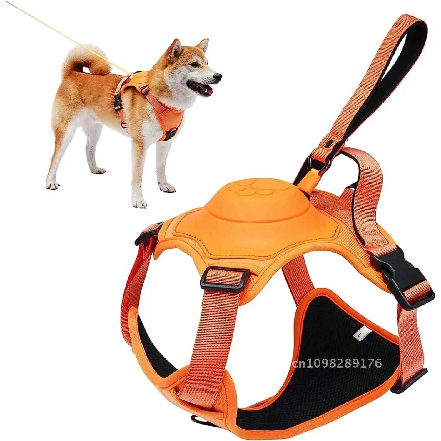 Retractable Dog Harness and Leash Set - Happy Tails - paws & love