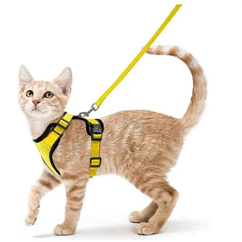 Cattitude Cat Harness & Leash - Happy Tails - paws & love