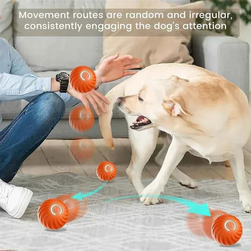Smart Paws Interactive Dog & Cat Toy Ball - Happy Tails - paws & love